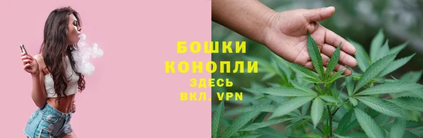 ECSTASY Коряжма