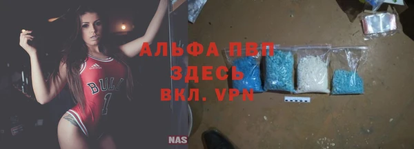 стаф Костерёво