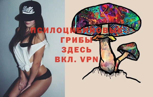 ECSTASY Коряжма