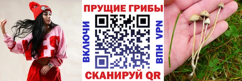 ссылка на мегу ссылки  Харабали  Галлюциногенные грибы мухоморы 